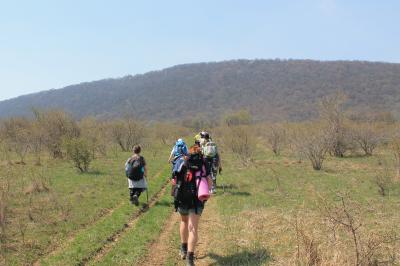 Magyar Camino Út.